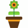 BloomInsight